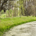 Photo 17 for Eshom Valley Ranch