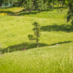 Photo 16 for Eshom Valley Ranch