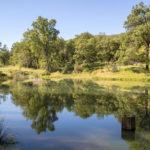Photo 18 for Eshom Valley Ranch