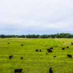 Photo 2 for Mill Creek Ranch