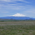 Photo 1 for Tangle Rose Acreage