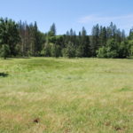 Photo 59 for Old McCauley Ranch
