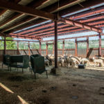 Photo 32 for Spring Valley Ranch