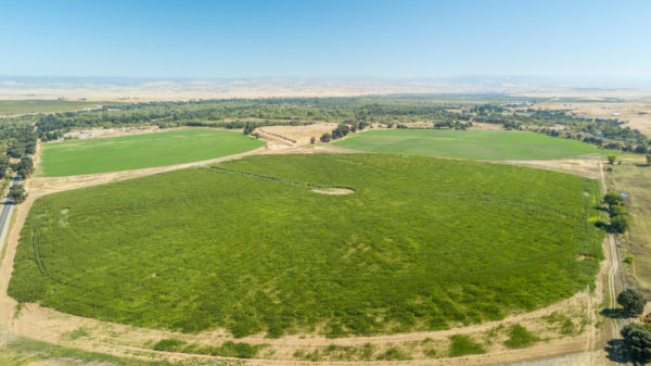 Petaluma's Cerro Pampa Polo Club, 112-acre property is up for sale