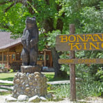 Photo 1 for Bonanza King Resort
