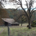 Photo 11 for Newnan Ranch