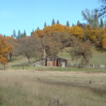 Photo 12 for Newnan Ranch