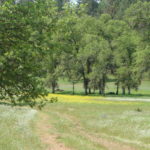 Photo 16 for Newnan Ranch