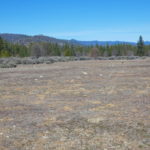 Photo 11 for Greenview Acres Parcel 1
