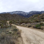 Photo 9 for Coyote Canyon Ranch