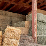 Photo 4 for Coyote Canyon Ranch