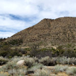 Photo 12 for Coyote Canyon Ranch