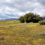 Photo 13 for Coyote Canyon Ranch
