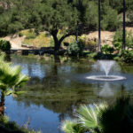 Photo 21 for Sandia Creek Estate