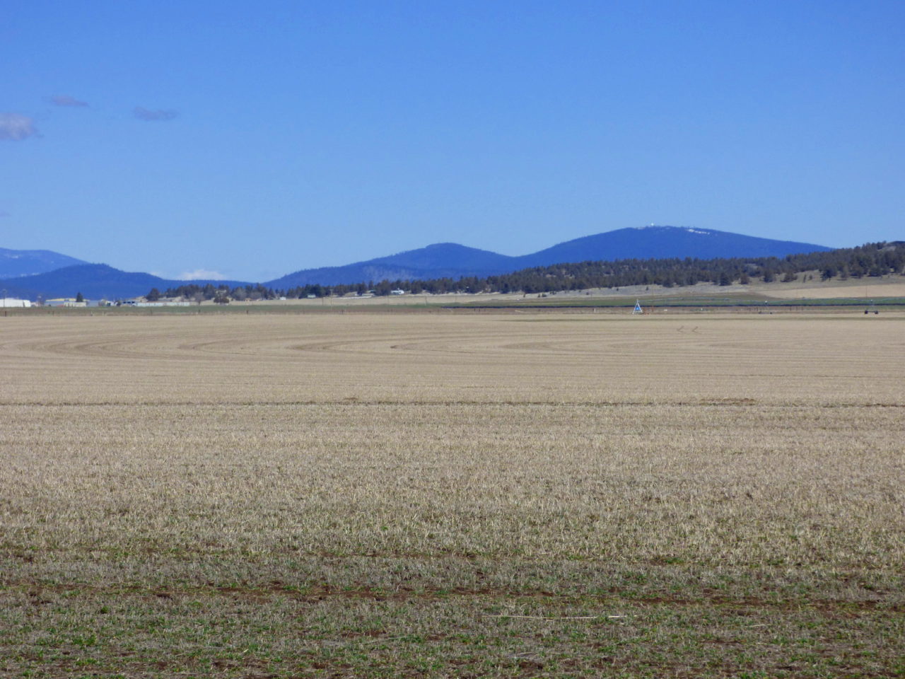 Macdoel Ranch California Outdoor Properties