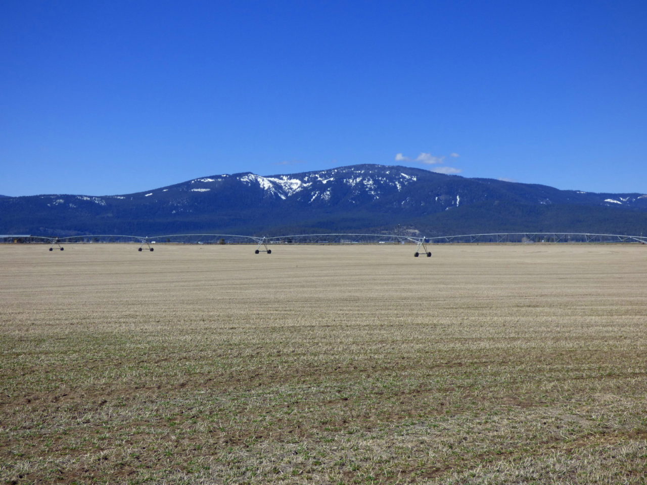 Macdoel Ranch California Outdoor Properties