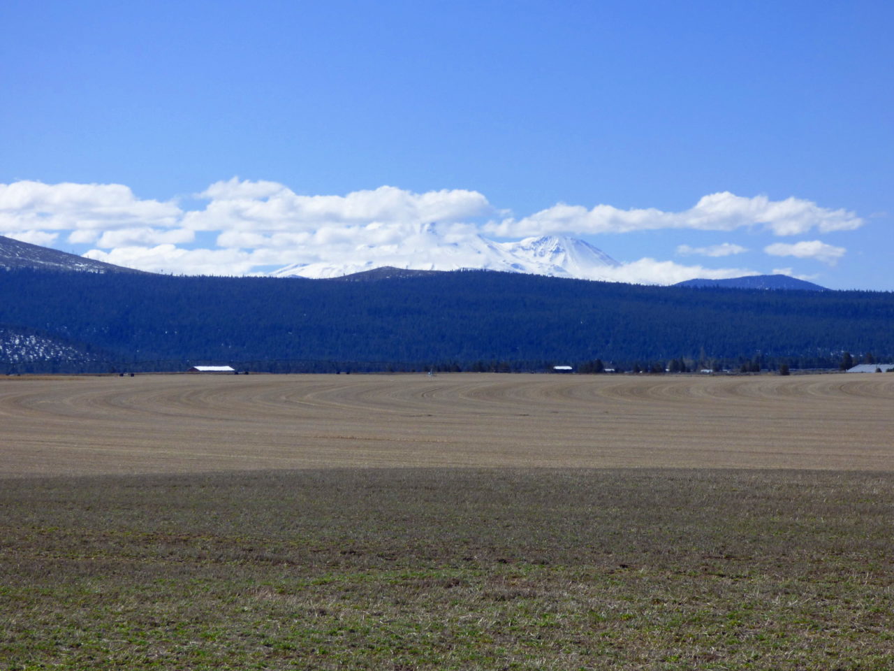 Macdoel Ranch California Outdoor Properties