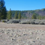 Photo 10 for Greenview Acres Parcel 1