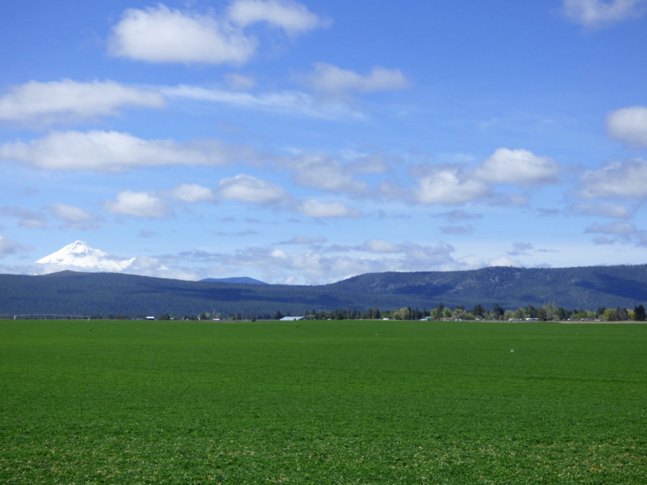 Macdoel Ranch California Outdoor Properties