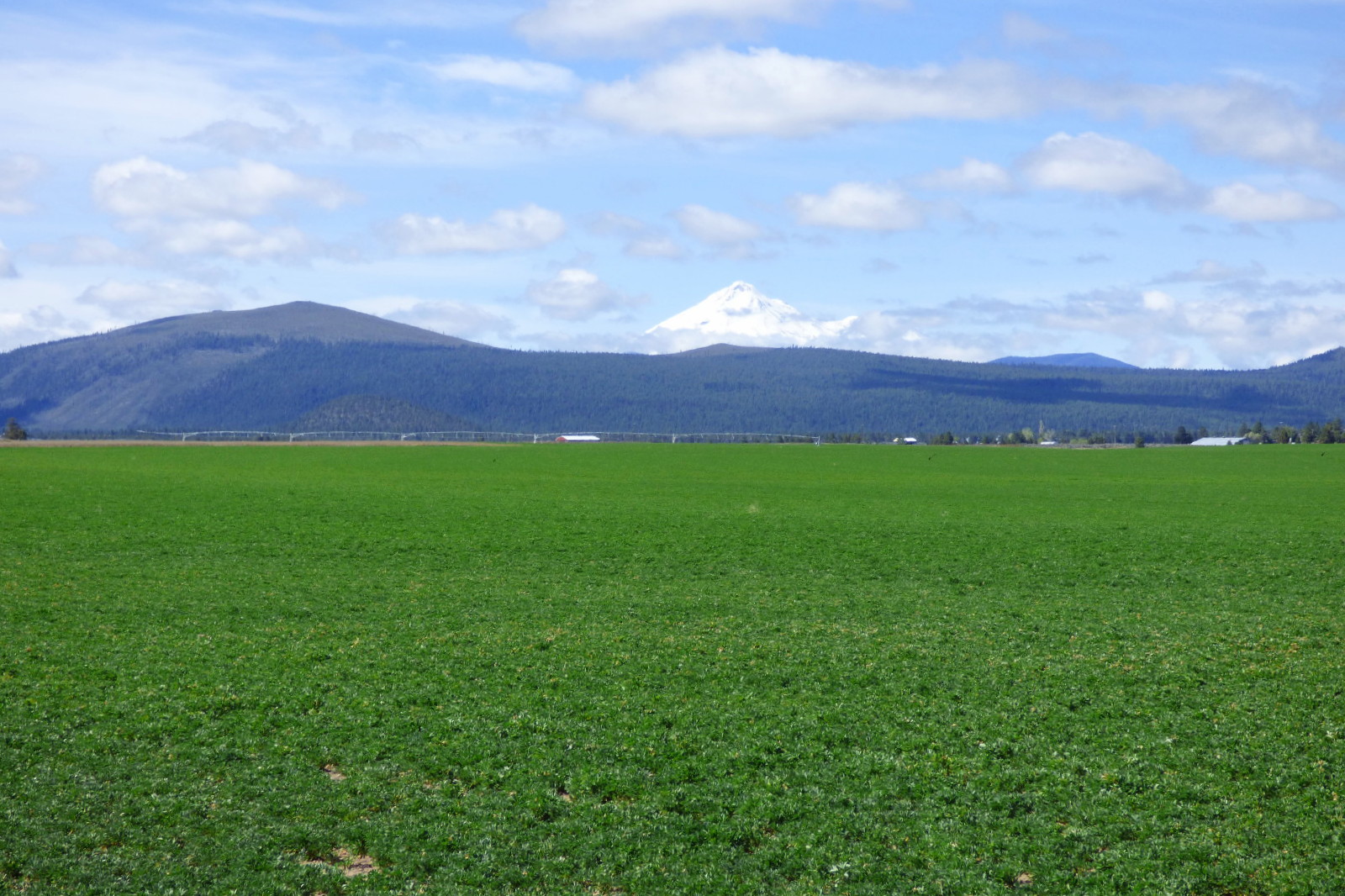 Macdoel Ranch California Outdoor Properties