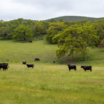 Photo 7 for Bucks Valley Ranch
