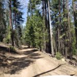 Photo 9 for Yosemite