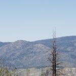 Photo 11 for Yosemite