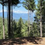 Photo 6 for Top of the World Log Home