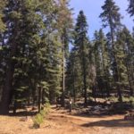Photo 15 for Yosemite