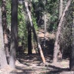 Photo 16 for Yosemite