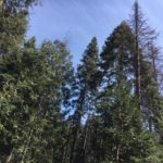 Photo 17 for Yosemite