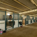 Photo 39 for Summerwood Arabians Equestrian Property
