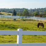 Photo 10 for Summerwood Arabians Equestrian Property