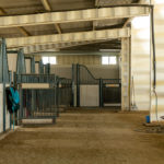 Photo 40 for Summerwood Arabians Equestrian Property