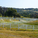 Photo 36 for Summerwood Arabians Equestrian Property