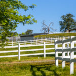 Photo 35 for Summerwood Arabians Equestrian Property