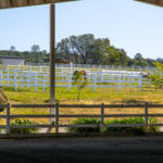 Photo 44 for Summerwood Arabians Equestrian Property