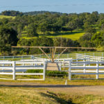 Photo 12 for Summerwood Arabians Equestrian Property