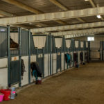 Photo 3 for Summerwood Arabians Equestrian Property