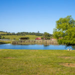 Photo 8 for Summerwood Arabians Equestrian Property