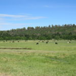 Photo 4 for Beaver Creek Ranch