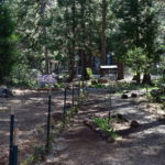 Photo 36 for Starlite Pines Cabin