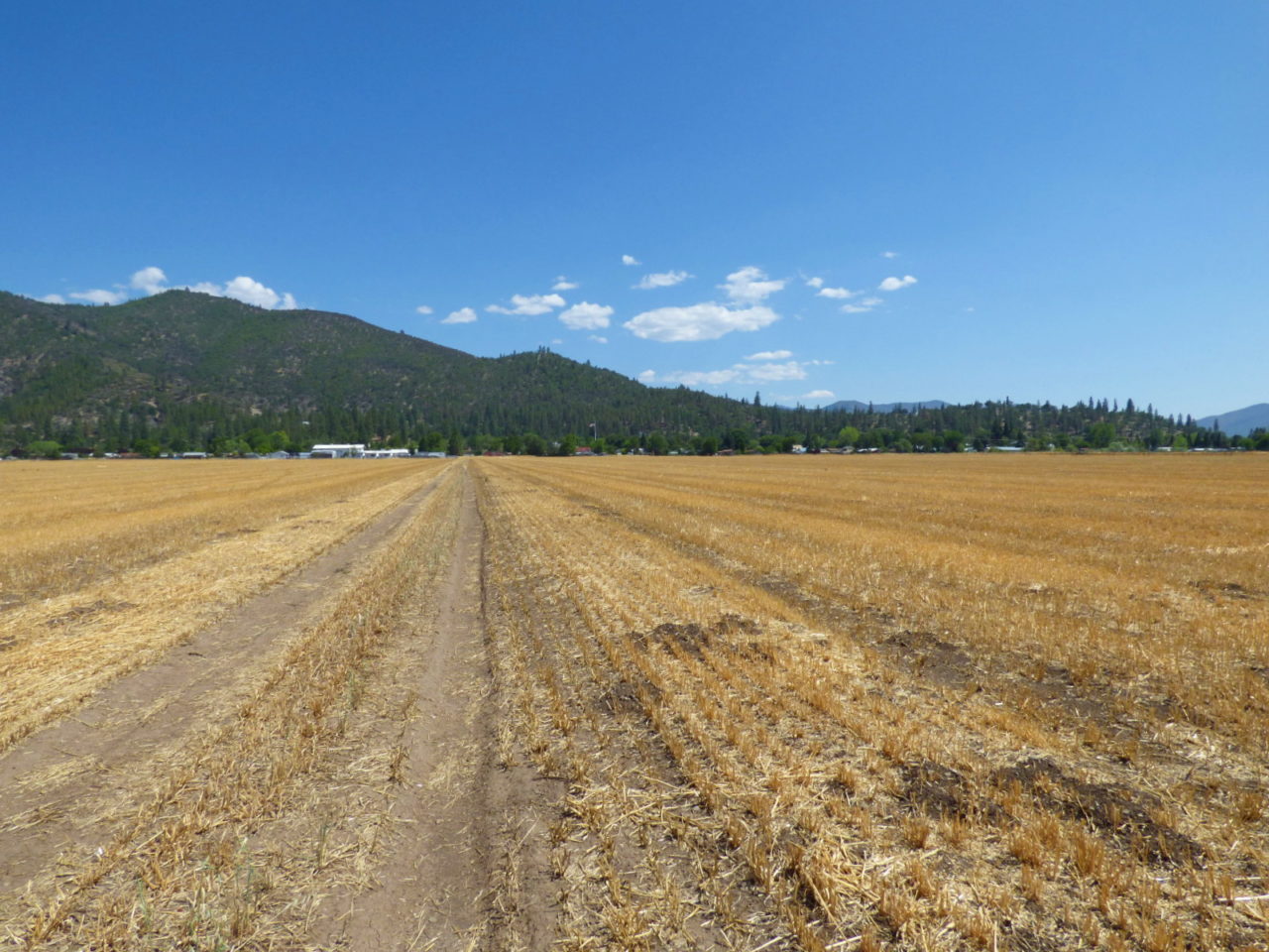 Fort Jones Farmland California Outdoor Properties