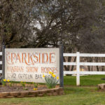 Photo 2 for Parkside Arabians