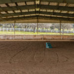 Photo 27 for Parkside Arabians