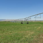 Photo 14 for Leavitt Lake Ranch