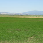 Photo 10 for Leavitt Lake Ranch