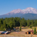 Photo 1 for Majestic Mt. Shasta