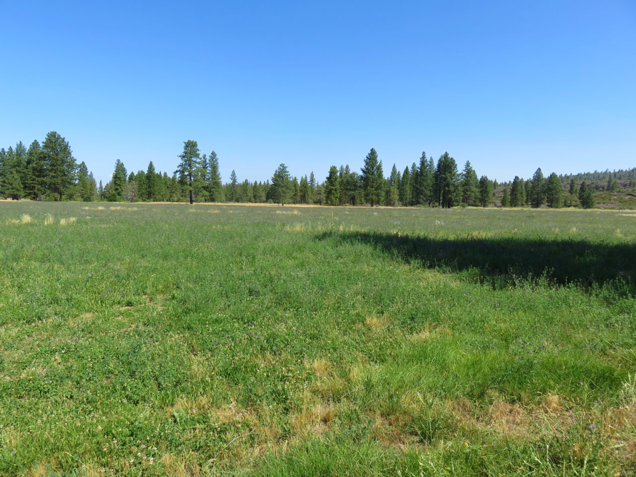 Hat Creek Ranch - California Outdoor Properties