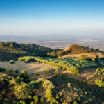 Photo 6 for Vineyard Heights Estates